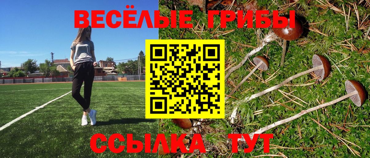 Псилоцибиновые грибы Psilocybine cubensis  купить наркотики цена  Ижевск  Вход с VPN 